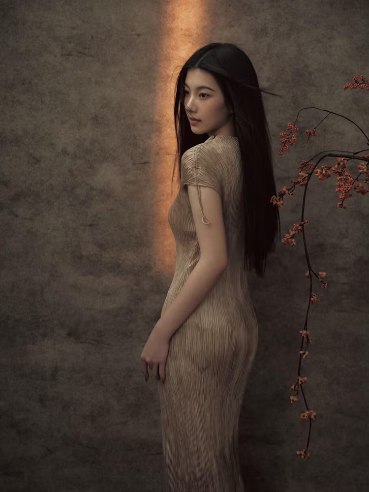 New 2026 Chinese Style Portrai - Vintage Fashion Photography 评论和价格